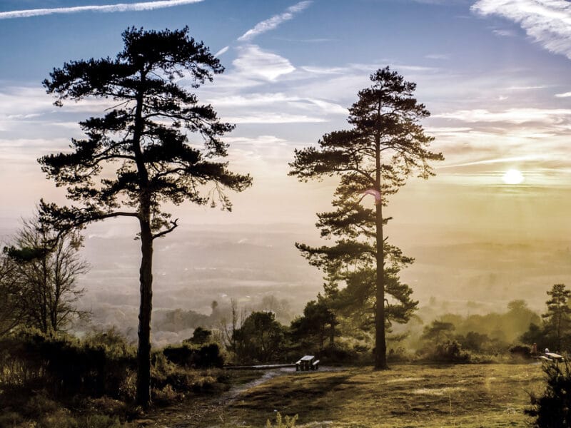 A View of Leith Hill in Surrey at Sundown