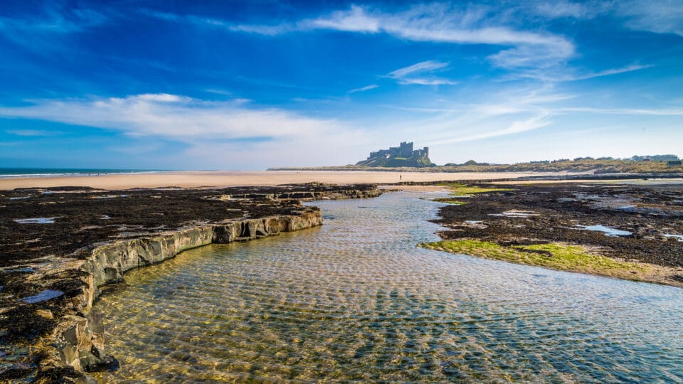 A View of The Beach and Bamburgh Castle on The Northumberland Coast, England, on a Sunny Day.